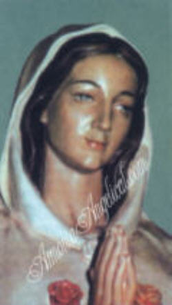 Imagen de La Virgen de La Rosa Mistica. Para Cartera